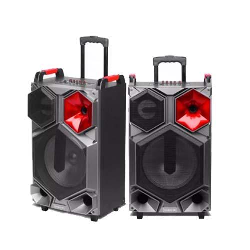 SPEAKER NIKO WT12A