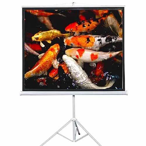 LAYAR TRIPOD BRITE TRI-1818 (70"X70")