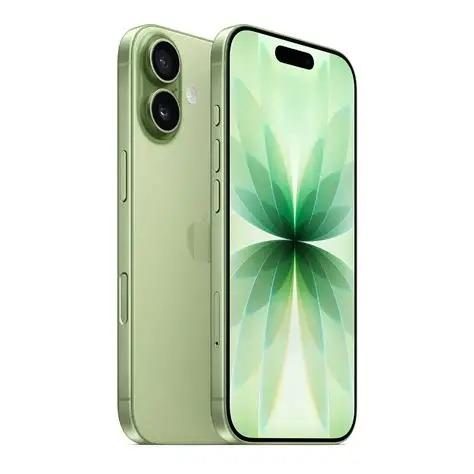 SMARTPHONE APPLE IPHONE 17 256GB SAGE #MG6N4PA/A (195950644296)
