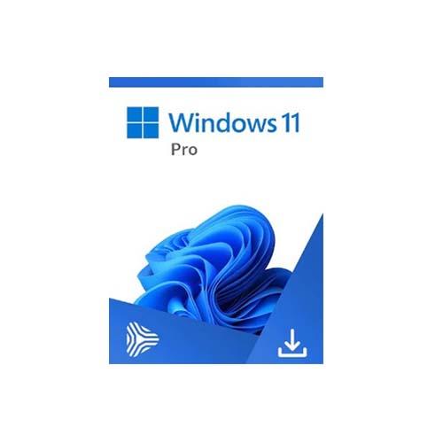 SOFTWARE MICROSOFT WINDOWS 11 PRO 64BIT ENG INTL1PK DSP OEIDVD (FQC-10528)